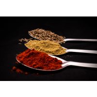 Gewürzseminar Dresden – drei Gewürzlöffel