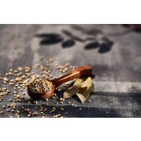 Gewürzseminar Dresden – indisch würzen