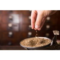 Gewürzseminar Dresden – Kümmel getrocknet