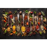 Gewürzseminar Dresden – Gewürze aus aller Welt
