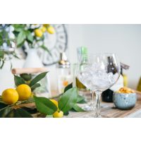 Whisky-Tasting Hamburg – Whisky Tulpen Gläser