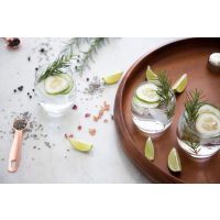 Gin-Tasting Augsburg –  Gin und Gurke