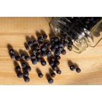 Gin-Tasting Augsburg –  Wacholder