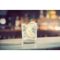 Gin-Tasting Berlin – fertiger Gin-Tonic mit Zitrone