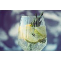 Gin-Tasting Berlin – Gin mit Rosmarinzweigen