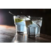 Gin-Tasting Berlin – Gin Tonic