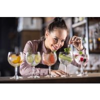 Gin-Tasting Karlsruhe – verschiedene Gins