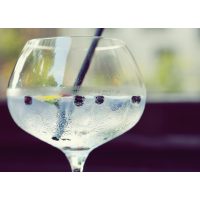 Gin-Tasting Köln – Gin mit Wacholderbeeren