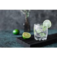 Gin-Tasting Mainz – Gin Tonic mit Limette
