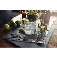 Gin-Tasting Münster die besten Gins