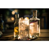 Gin-Tasting Stuttgart – Gin Tonic mit Zitrone, Gurke, Limette, Zimt