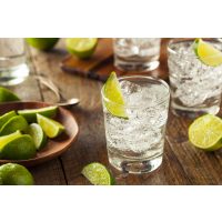 Gin-Tasting Stuttgart – Gin mit Limette