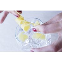 Gin-Tasting Stuttgart – Gin mit Zitrone