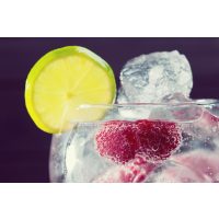 Gin-Tasting Heidelberg – Gin mit Zitrone und Himbeeren