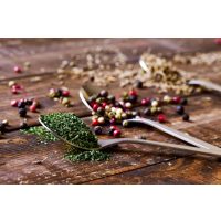 Grillkurs Speyer – Grillgewürze