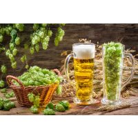 Teambuilding Steak & Bier-Kochkurs München - Hopfen