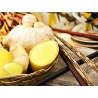 Incentive in Regensburg - frischer Ingwer