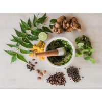 Indischer Kochkurs Stuttgart – Gewürze