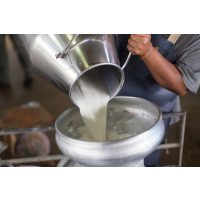 Käse selber machen Dresden – frische Rohmilch