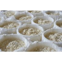 Käse selber machen Dresden – Käse herstellen