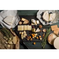 Käse selber machen Dresden – Käse Stücke