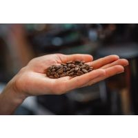 Kaffee-Seminar Frankfurt – geröstete Kaffeebohnen