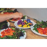 Kochkurs bei Herrmannsdorfer Glonn – aromatische Wildkräuter