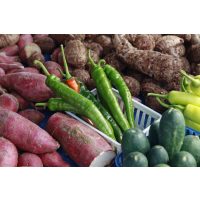 Gewürzkochkurs Dresden - Wurzelgemüse