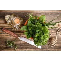 Gewürzkochkurs Dresden - frische Kräuter