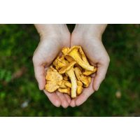 Kochkurs München: Pfifferlinge haben Saison