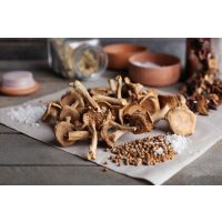 Kochkurs Nürnberg – Pilze