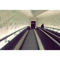 Kulinarische Stadtführung Hamburg – längste Rolltreppe Elbphilharmonie