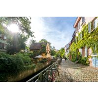 Kulinarisches Locationhopping  Freiburgs beste Restaurants
