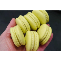 Macarons-Kurs Köln – grüne Macarons