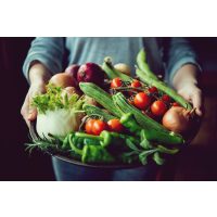 Mediterraner Kochkurs Stuttgart – viel frisches Gemüse