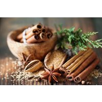 Saisonaler Kochkurs Dresden – weihnachtliche Gewürze