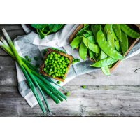 Saisonaler Kochkurs Köln – grünes Gemüse