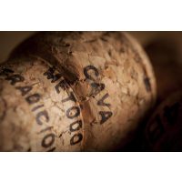 Schaumweinprobe München – Cava