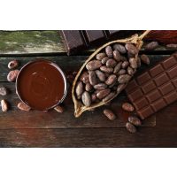 Schokoladen-Tasting Bonn – Rohstoff Kakaobohne