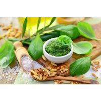 spanischer Kochkurs Dresden – Pesto