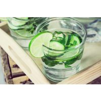 Spirituosen-Tasting Frankfurt-Hofheim – Gin, Gurke, Tonic