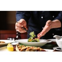 Sternekochkurs Herten – Salat anrichten