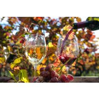 Teambuilding Berlin - Wein im Herbst