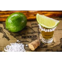 Tequila-Tasting Frankfurt: Tequila klassisch mit Salz und Limette