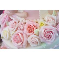 Tortendekorations-Kurs Berlin-Mahlow – Fondant-Blumen