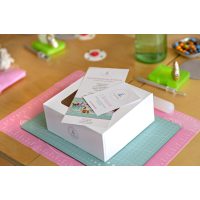 Dripcakekurs-Karlsruhe-Tortenbox