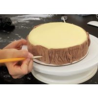 Tortenkurs Mannheim – Fondant als Baumrinde