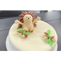 Tortenkurs Mannheim – Motivtorte Igel