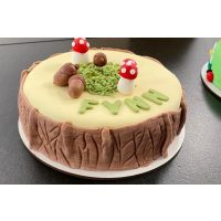 Tortenkurs Mannheim – Motivtorte Wald 