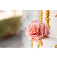 Tortenkurs München – Fondant Blume